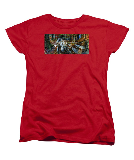 Panorama 3170 Morris Arboretum of the University of Pennsylvania - Women's T-Shirt (Standard Fit)