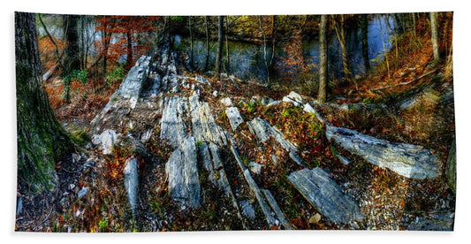 Panorama 3170 Morris Arboretum of the University of Pennsylvania - Bath Towel