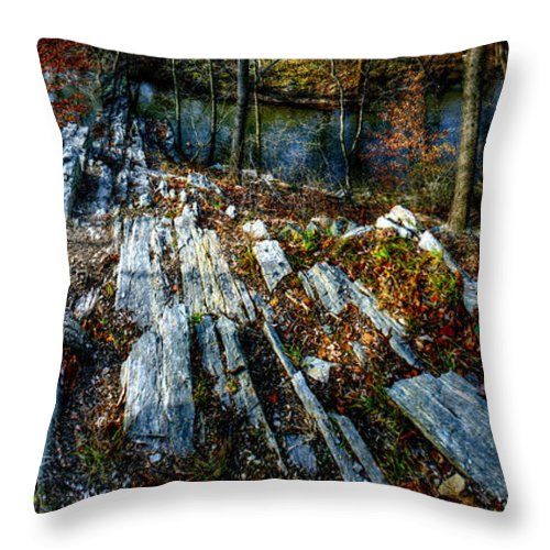 Panorama 3170 Morris Arboretum of the University of Pennsylvania - Throw Pillow