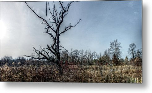 Panorama 3174 Morris Arboretum of the University of Pennsylvania - Metal Print