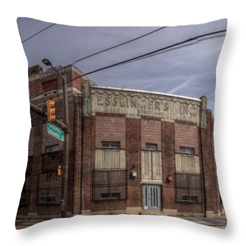 Panorama 3598 Esslinger's Inc. - Throw Pillow