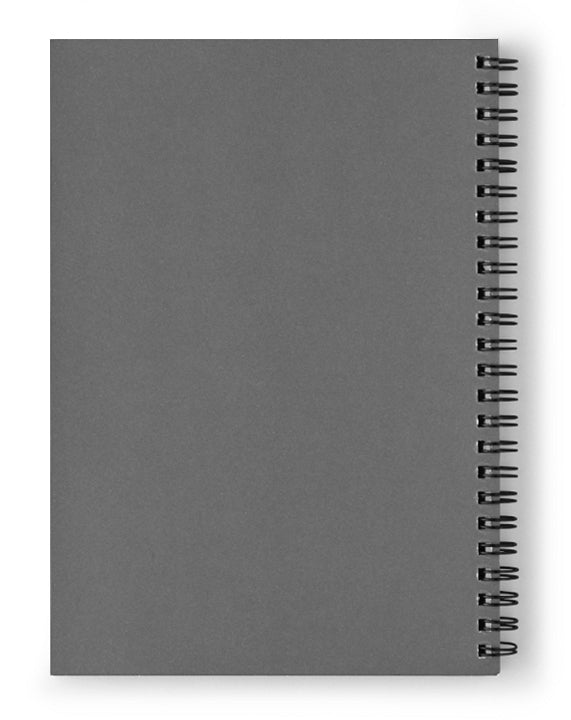 Panorama 3356 CSX Bridge - Spiral Notebook